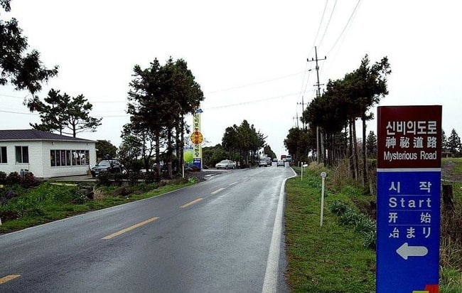 9. Mysterious Road – Jeju, South Korea